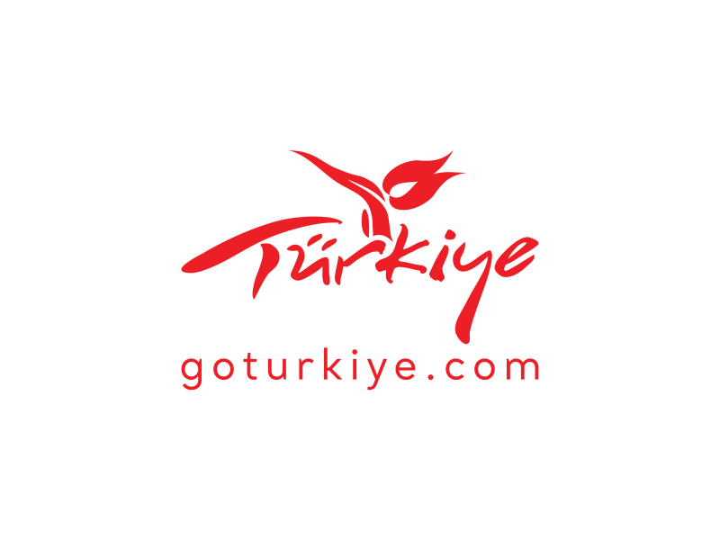 Go Türkiye